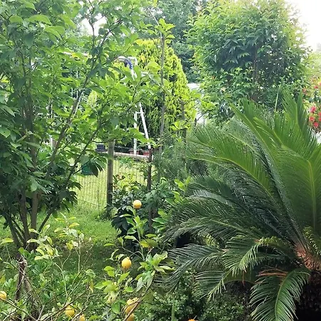 Venice Airport B&B